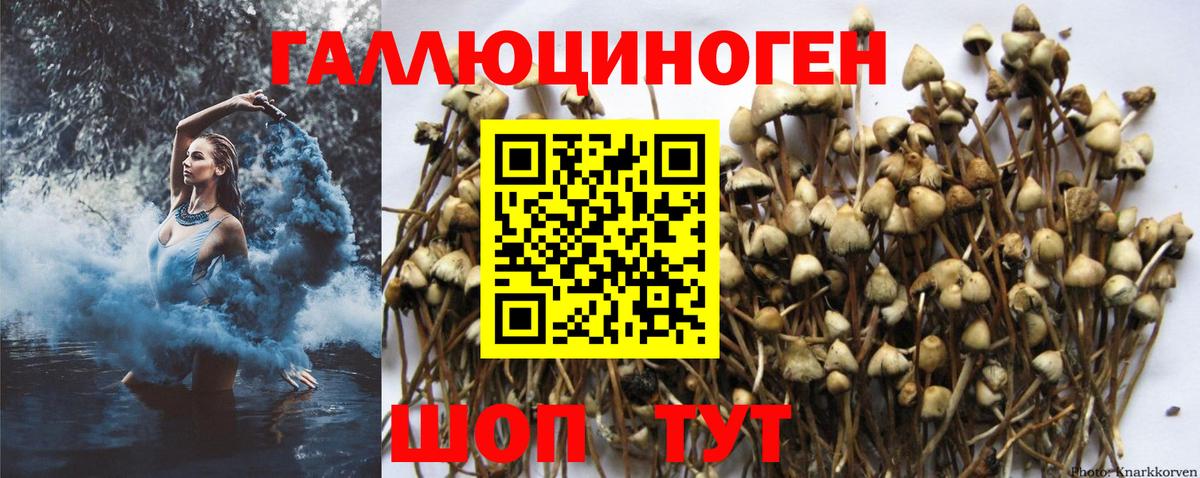 Псилоцибиновые грибы мухоморы Киселёвск