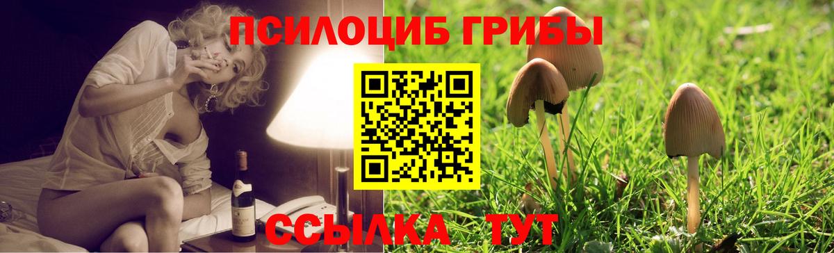 Киселёвск  Псилоцибиновые грибы ЛСД  Галлюциногенные грибы мухоморы  дарнет шоп  Вход с VPN 